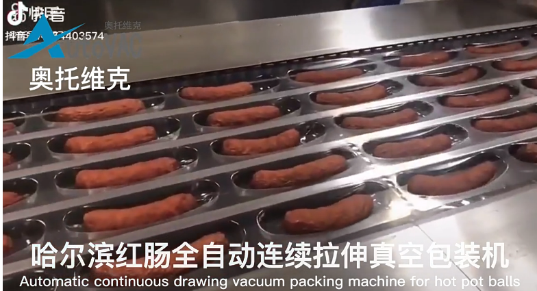 哈尔滨红肠拉伸膜真空包装机
